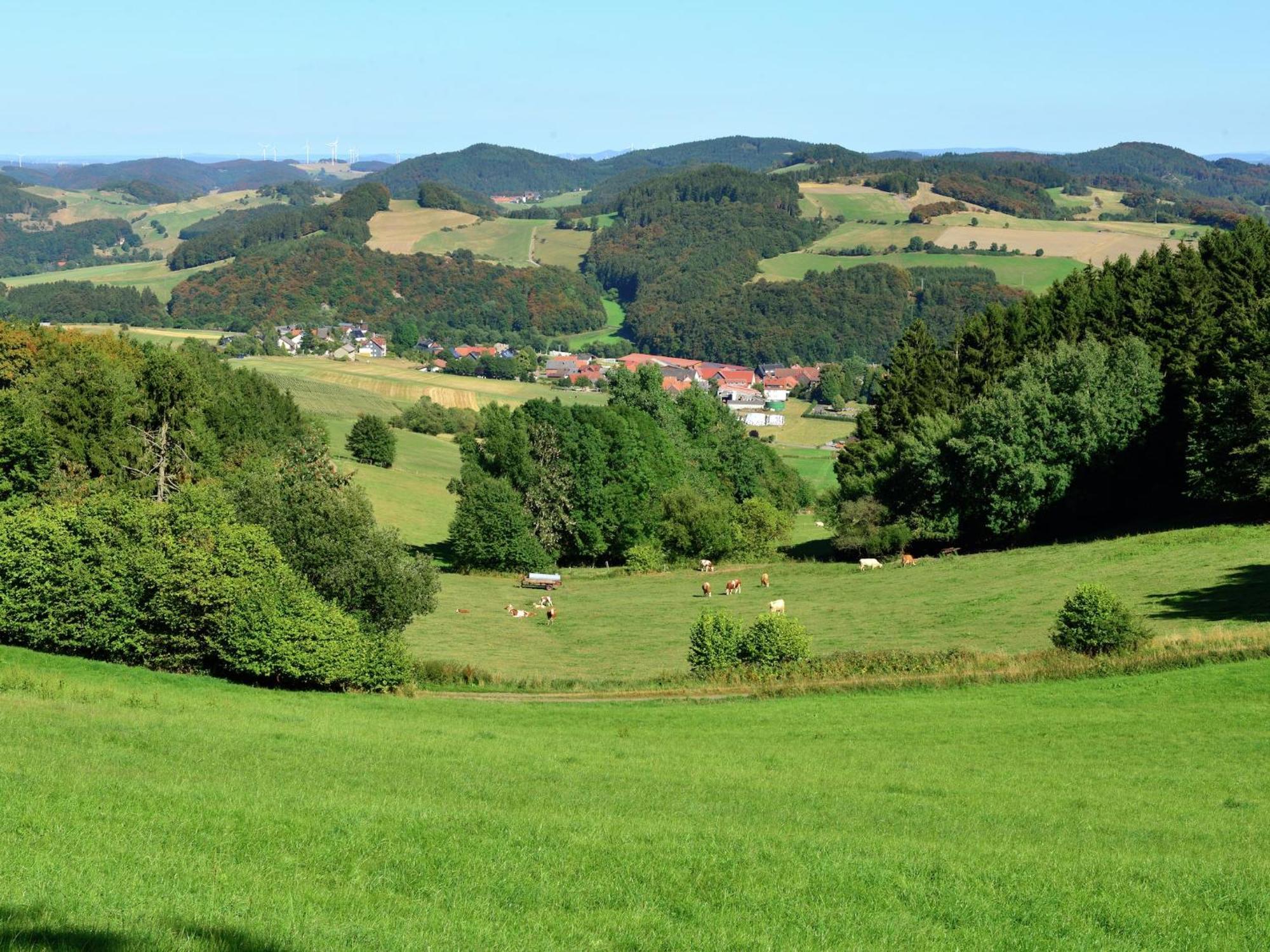 Quaint Apartment In Eimelrod Near Lake And Water Sports Willingen  Eksteriør billede